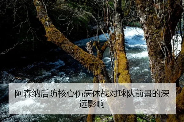 阿森纳后防核心伤病休战对球队前景的深远影响